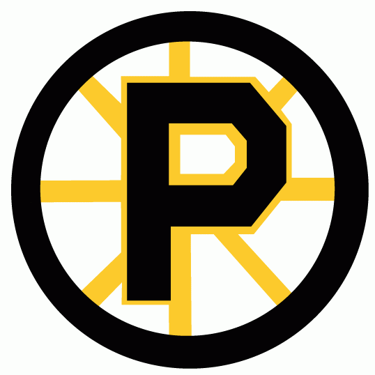 Providence Bruins 1992 93-1994 95 Primary Logo iron on heat transfer